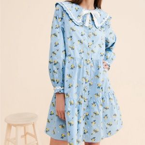 Crās Denise collared shirt mini dress NWOT